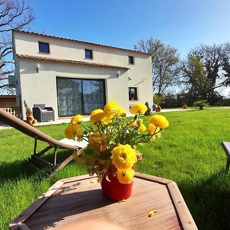 Villa Sandrine, Confortable Et Cosy Proche D'Aix En Provence Meyrargues Екстер'єр фото